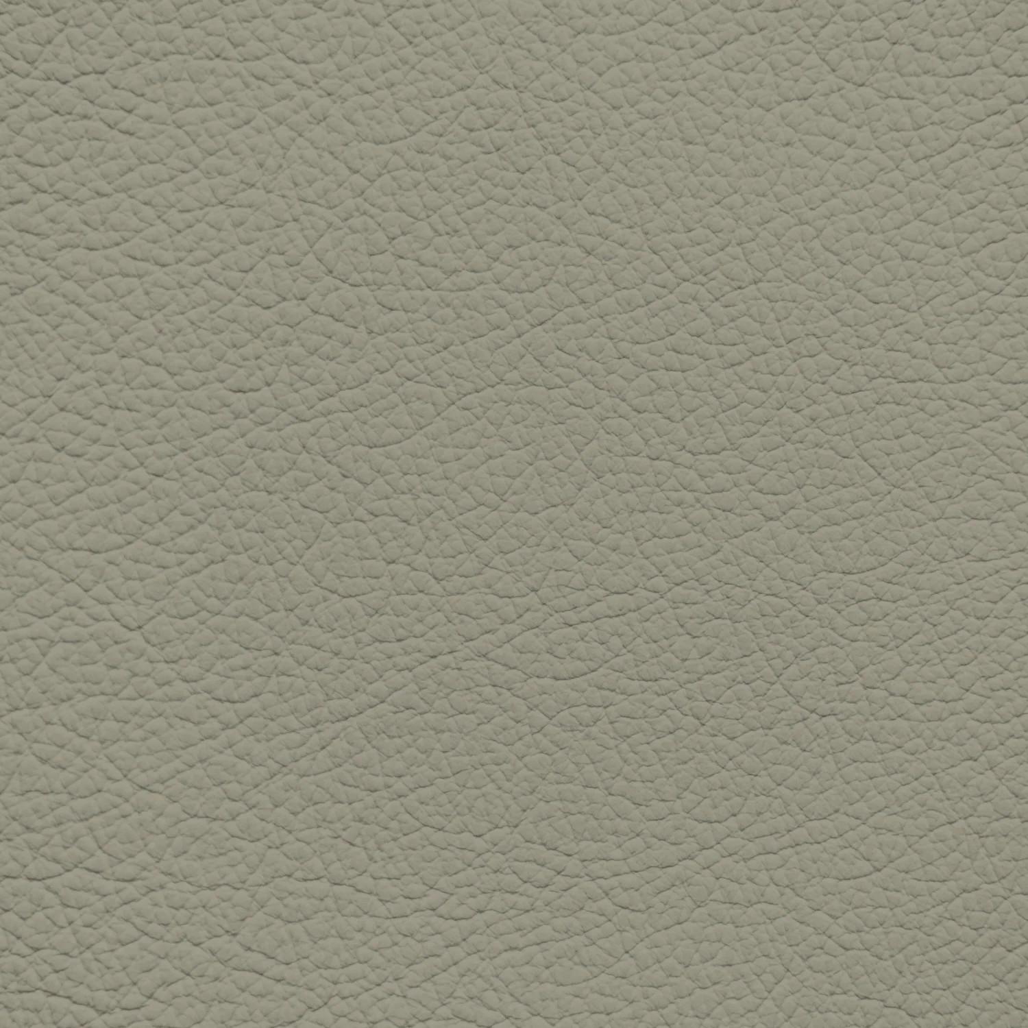 Infiniti Sage Gray Leather Dye