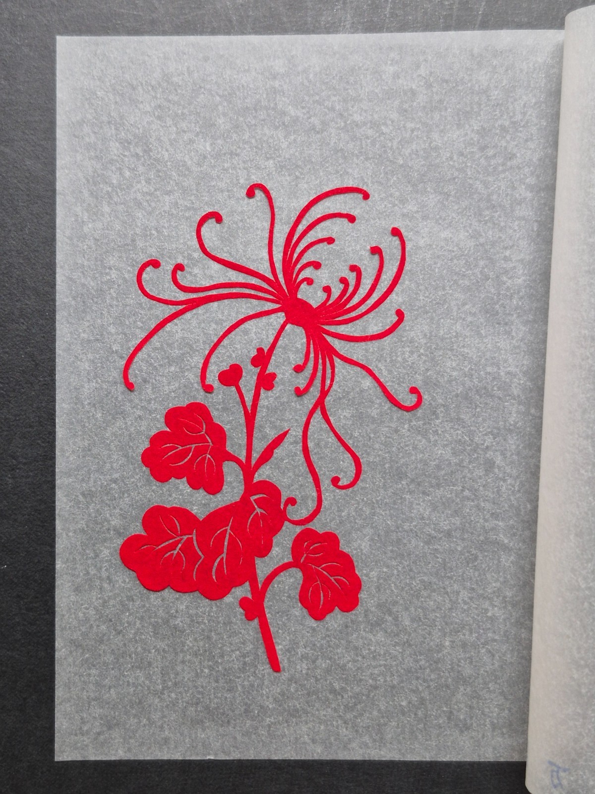 Unused Set of 10 Chinese Folk Art Red Paper cuts Botanical Flowers Designed