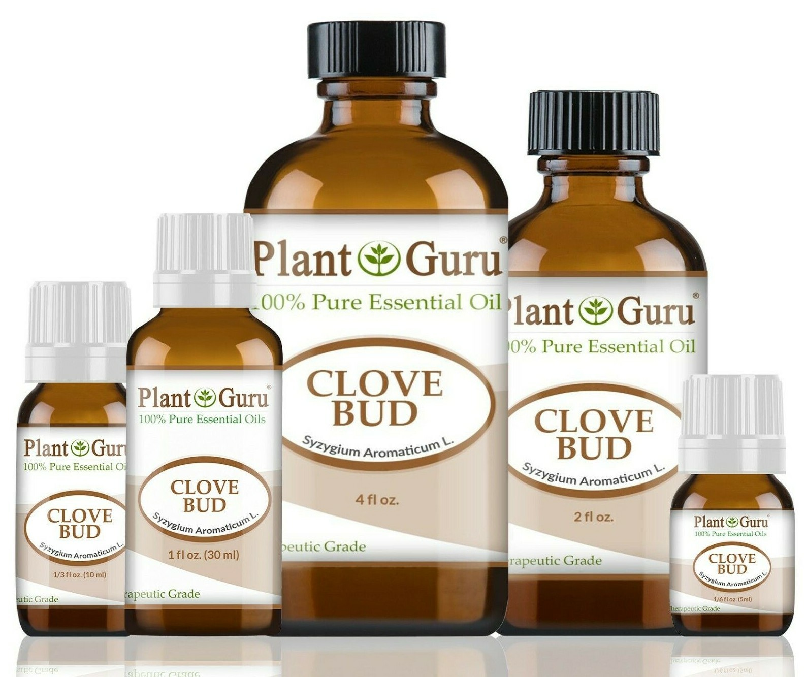 Clove Bud Essential Oil 100% Pure Natural Therapeutic Grade Syzygium Aromaticum
