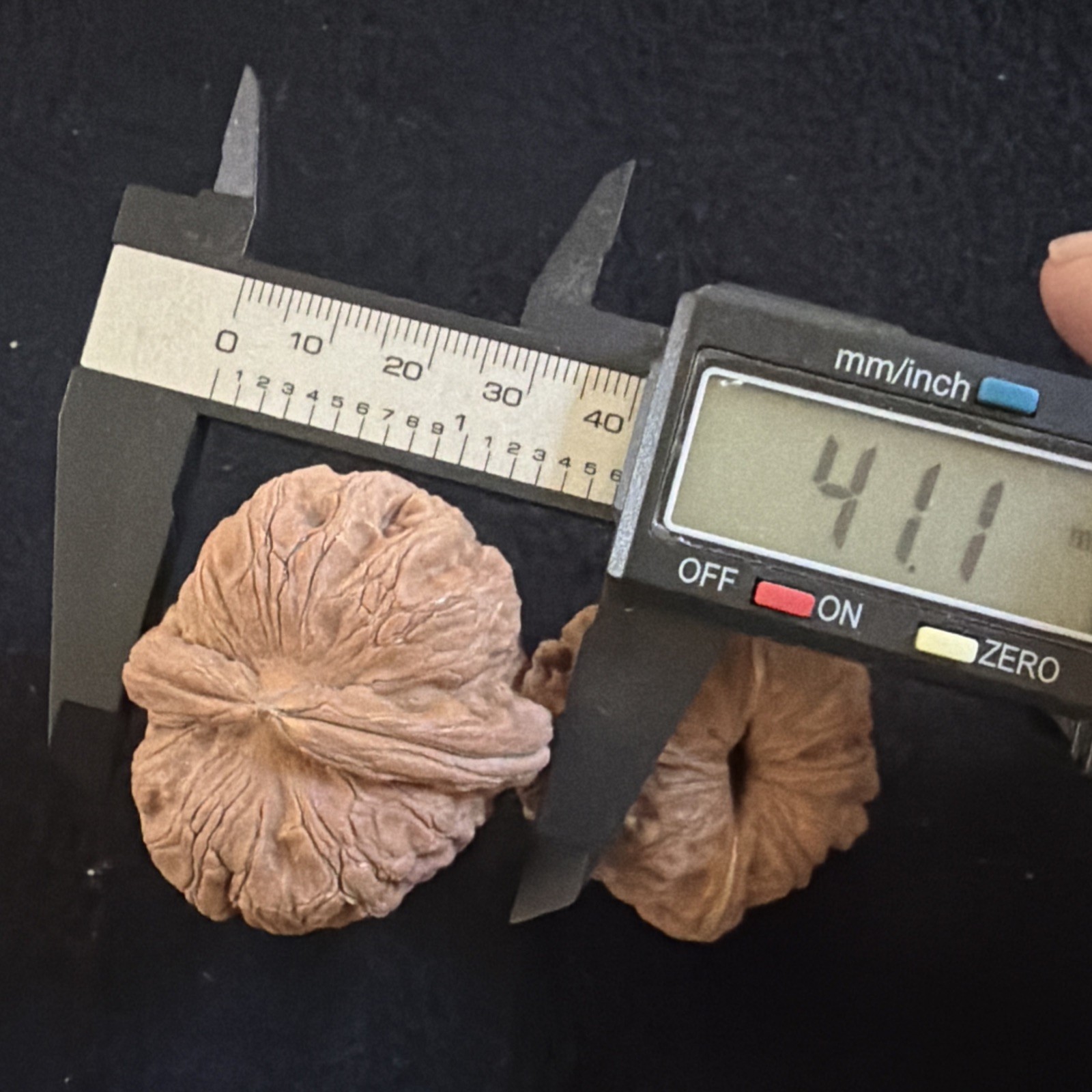 文玩核桃 Ornamental Walnut · Chinese Pocket Curio 2026年新开，精配对无修无打底，#192