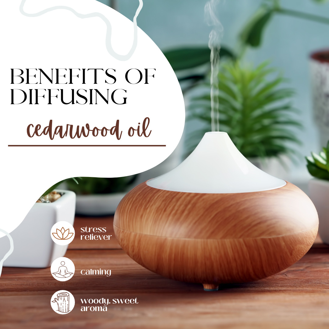 Cedarwood (Chinese) Essential Oil 100% Pure Many Sizes Free Shipping