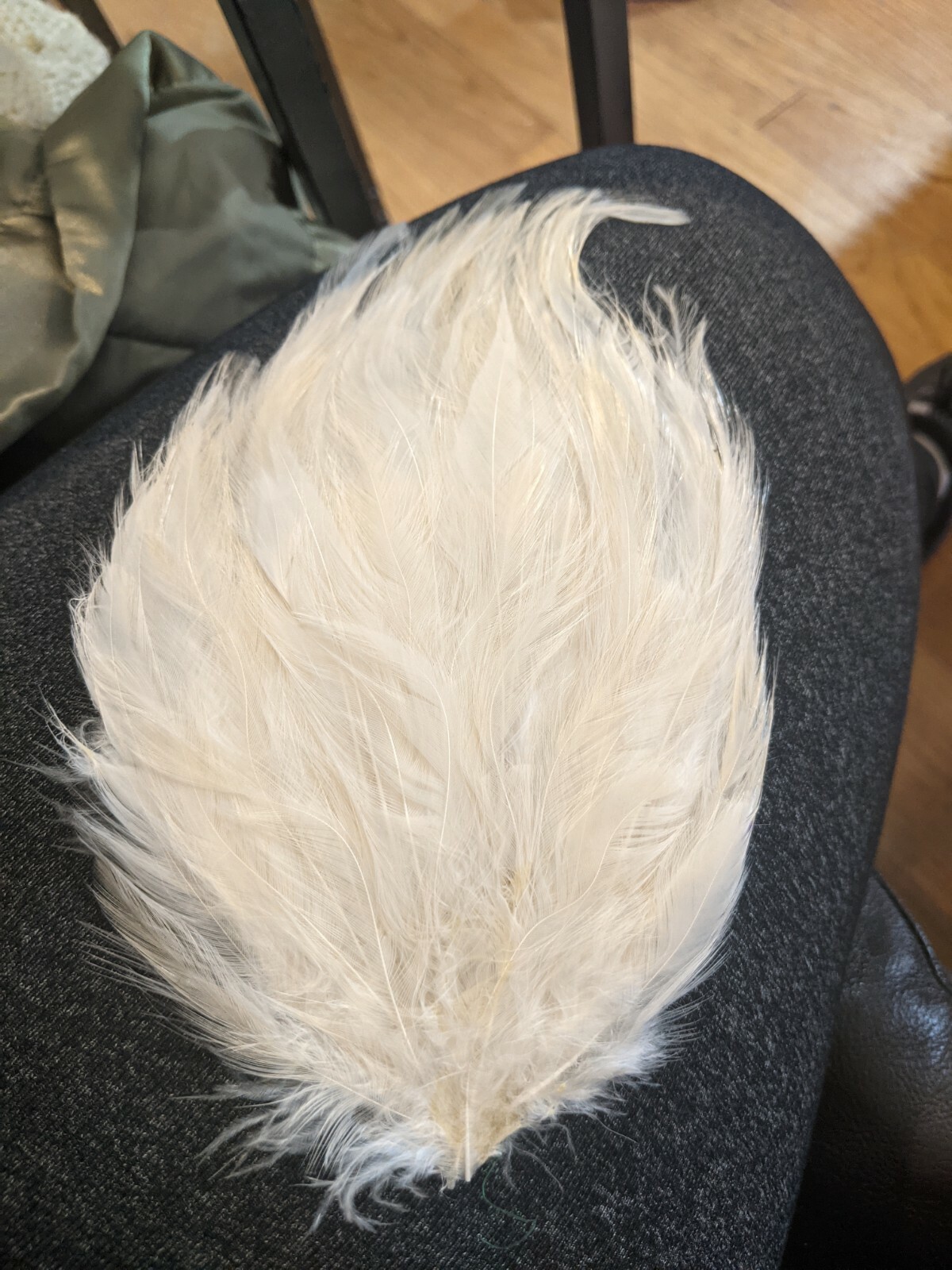 HACKLE FEATHER PAD – Eggshell Pads; Headband/Bridal/Craft/Halloween Deadstock