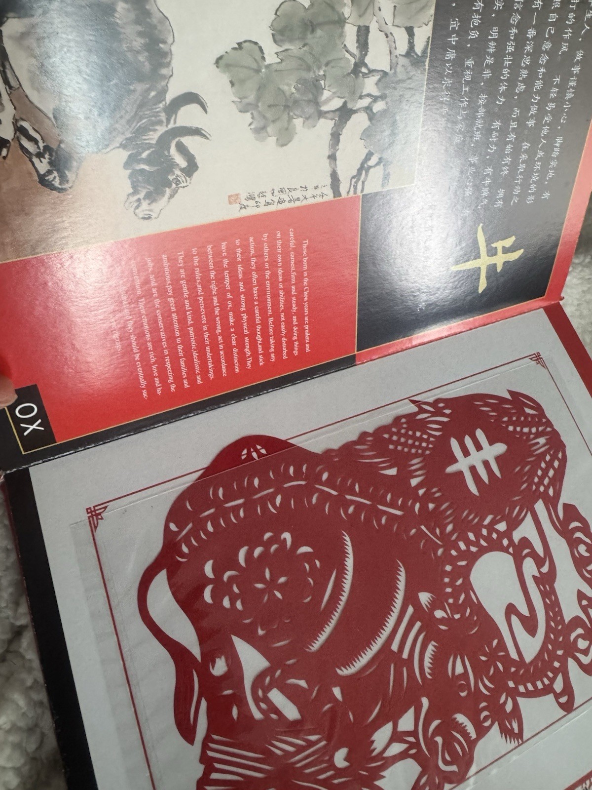 Gaomi Paper-Cut 12 Birth Animal Signs Bilingual Chinese & English With Material