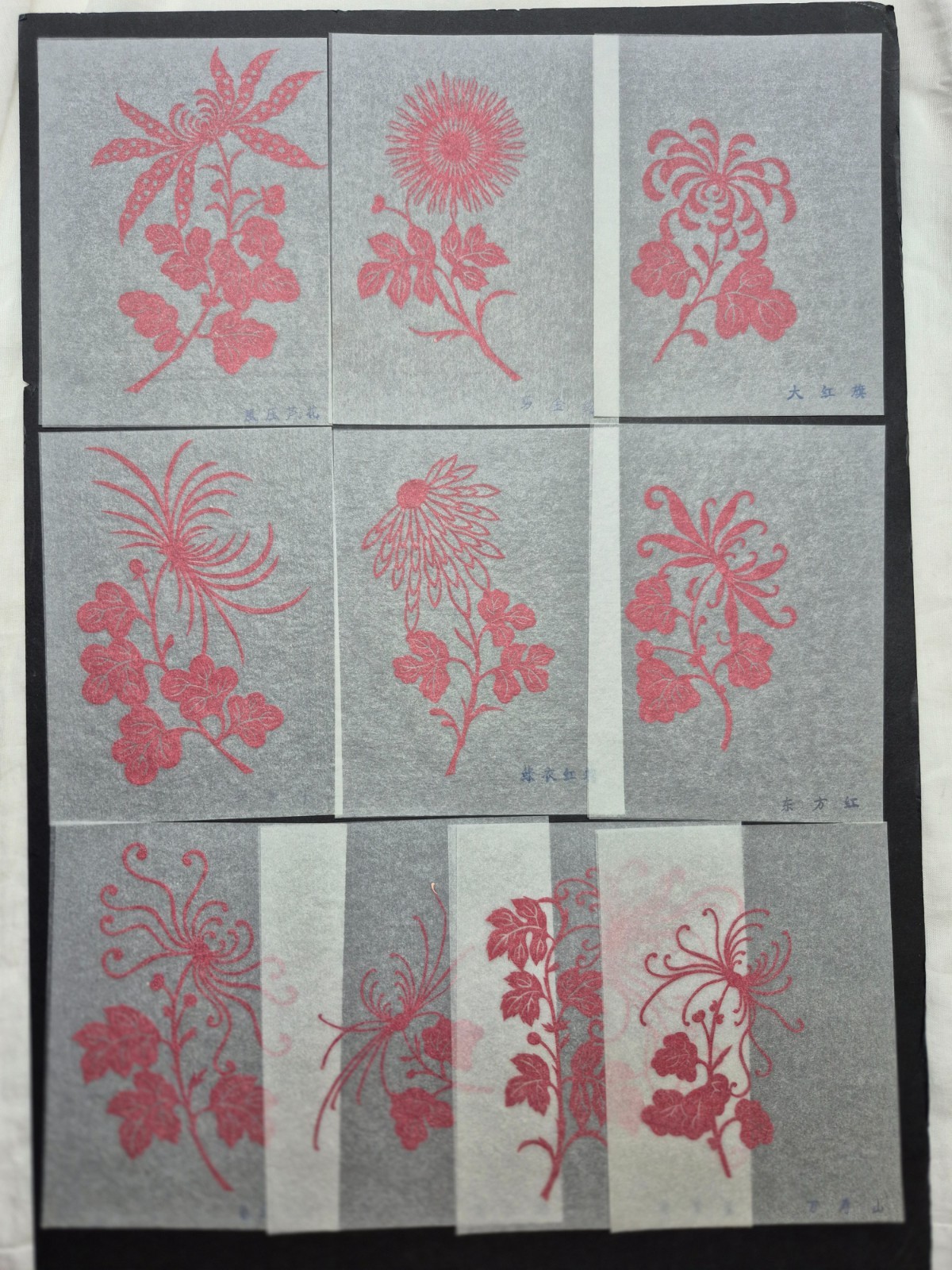 Unused Set of 10 Chinese Folk Art Red Paper cuts Botanical Flowers Designed