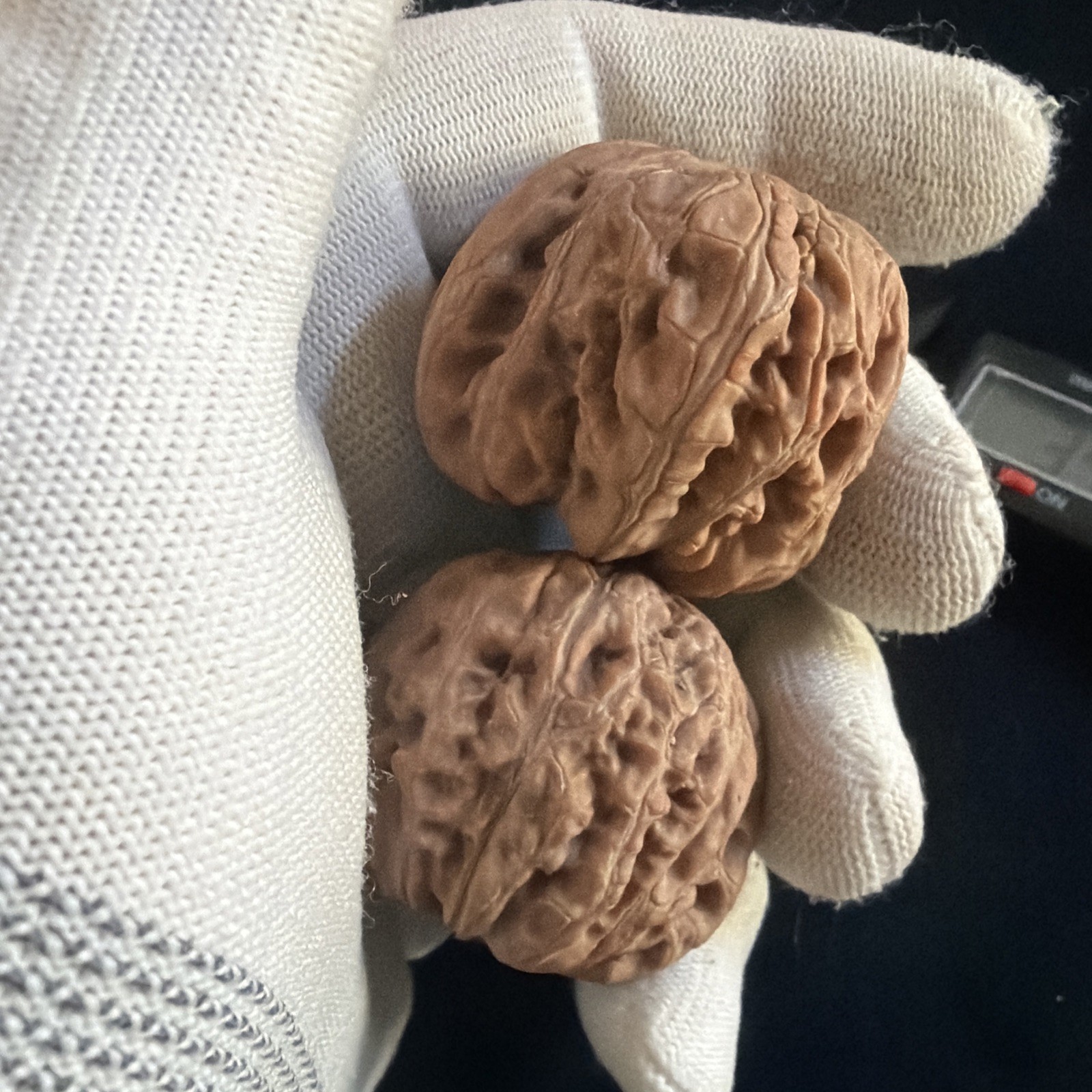 文玩核桃 Ornamental Walnut · Chinese Pocket Curio 2026年新开，精配对无修无打底，#192