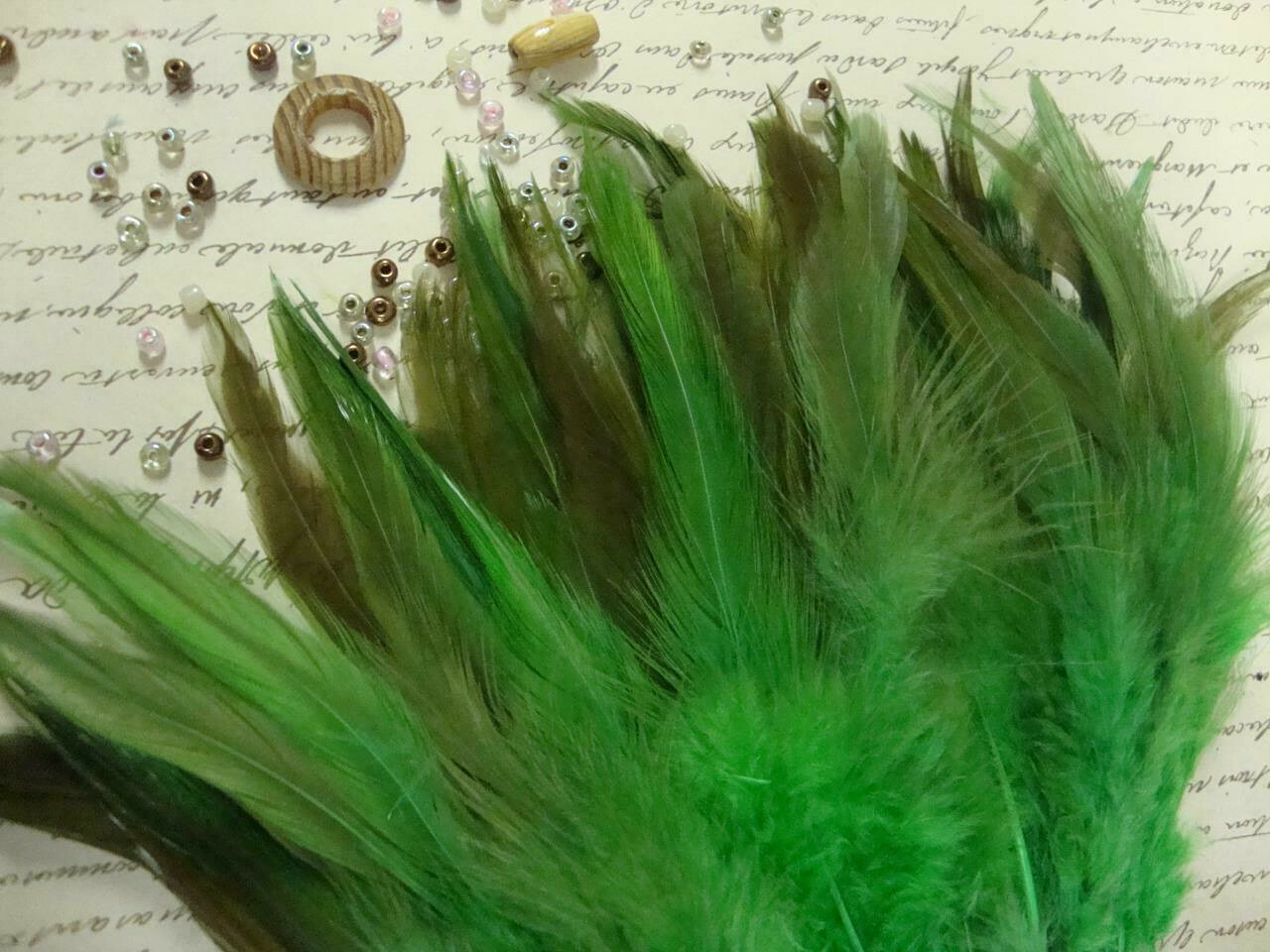 Chinese Rooster Saddle Hackle Feathers – Strung – Green over – 4-5″ – 50 Pcs.