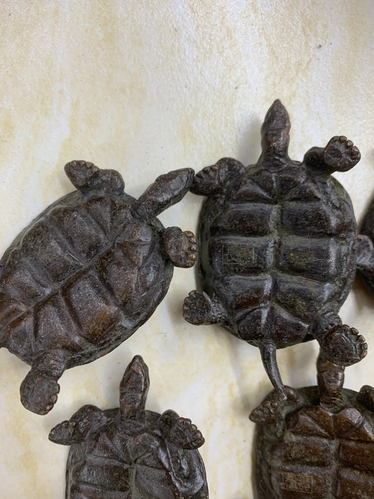 5 Pcs Wonderful Chinese Bronze Hand Made *Turtle* Statues