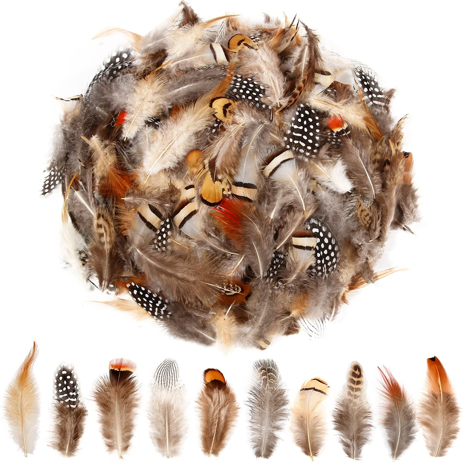 SendyFeather 200pcs 10 Style Natural Feathers Assorted Mixed 2-4inch,