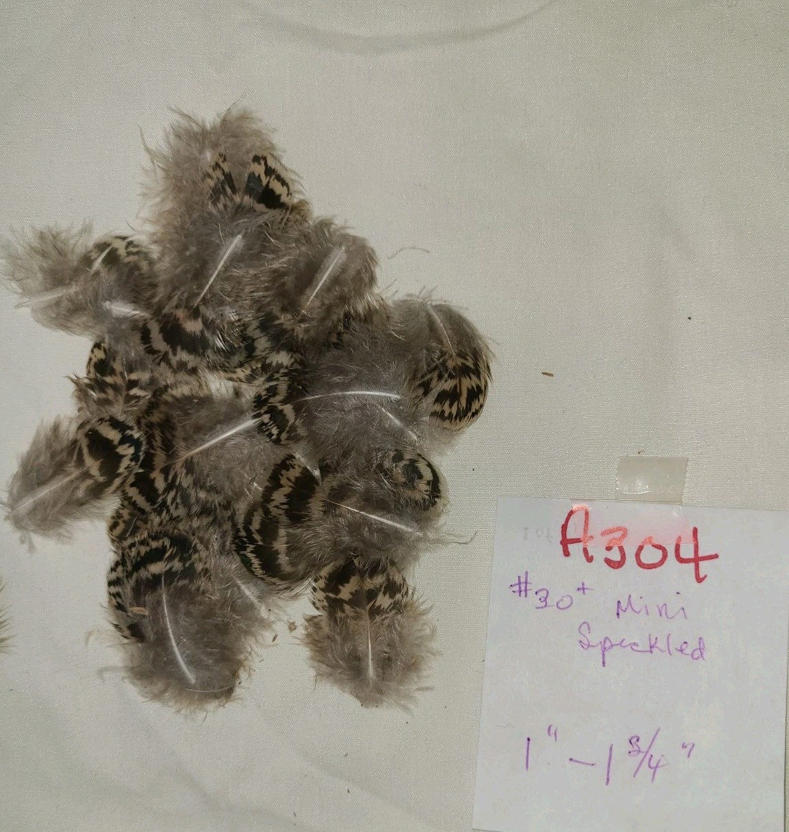 30 Mini Chinchilla Peacock Body Feathers 1 – 1 3/4″ cruelty-free A304
