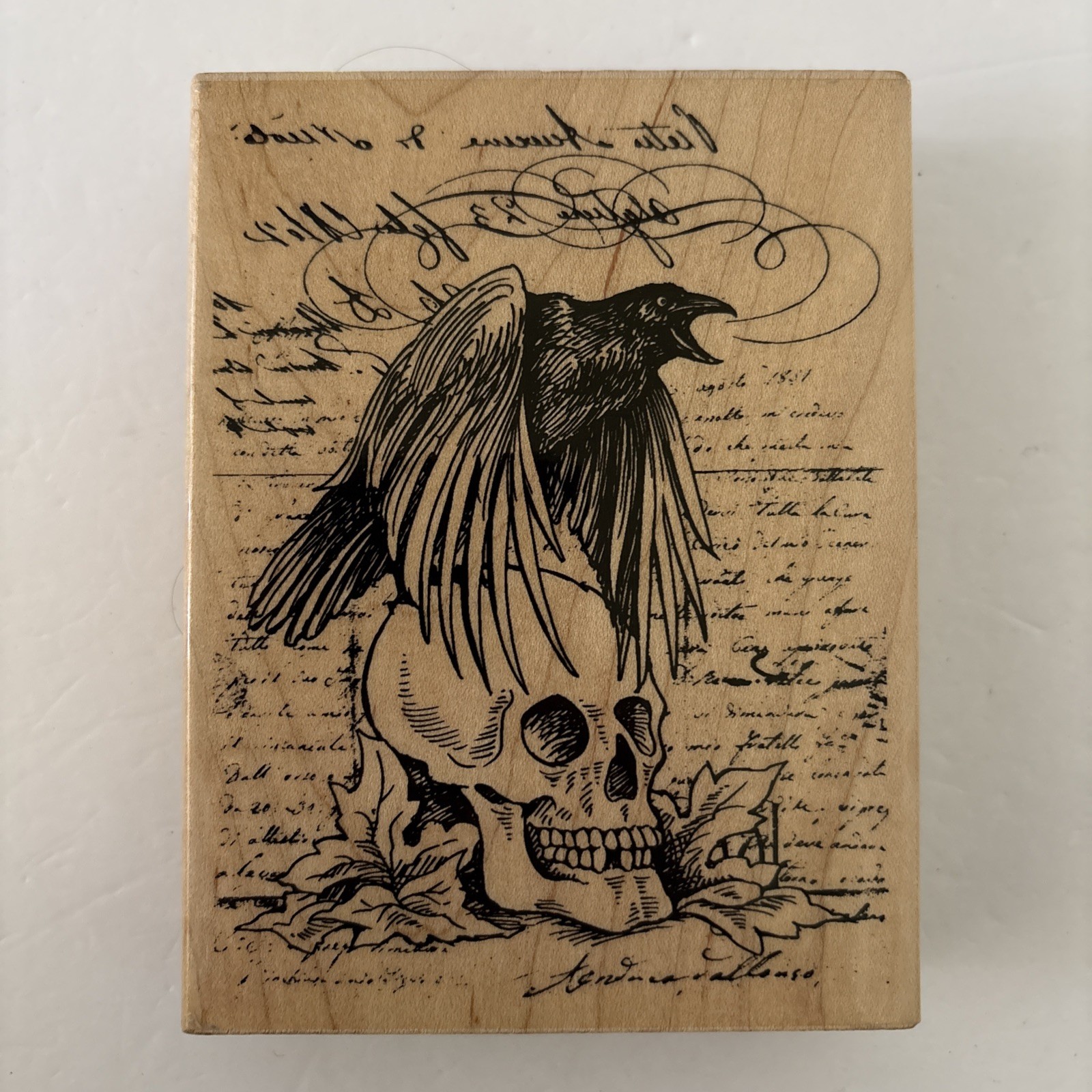 Rubber Stamp 2015 Stampendous R228 Raven Skull