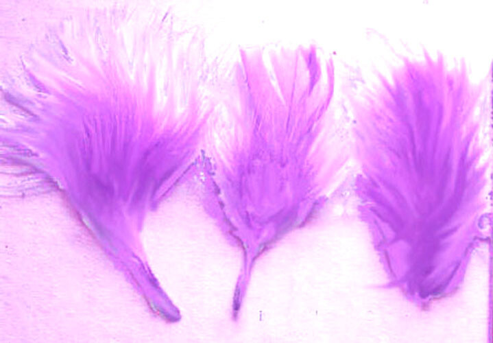 Marabou Feathers Small 1-3″ fluffs Lavander 7 grams approx. 105 per bag