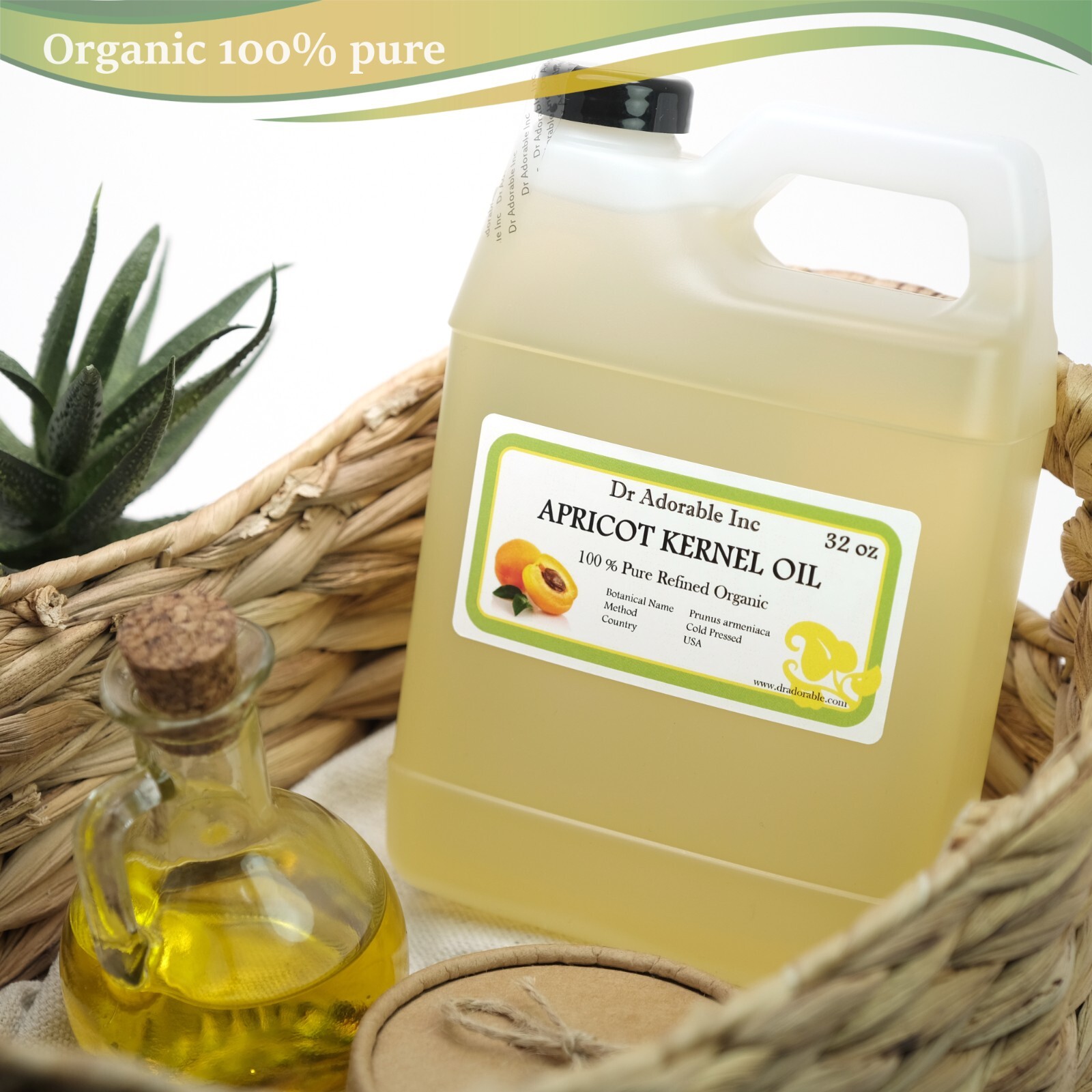 32 OZ APRICOT KERNEL OIL 100% Natural, Pure – soaps, lotions, skin care, creams