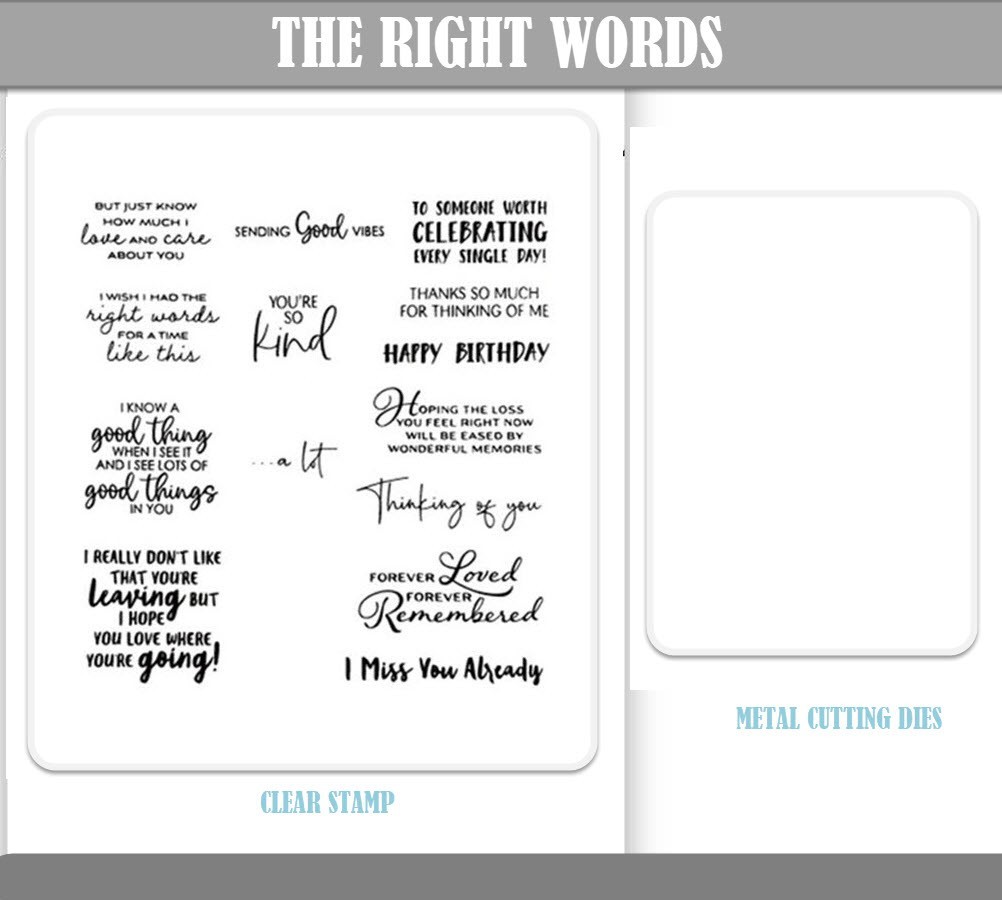 THE RIGHT WORDS Clear Stamps And Metal Cutting Dies DIY Scrapbooking Embossing