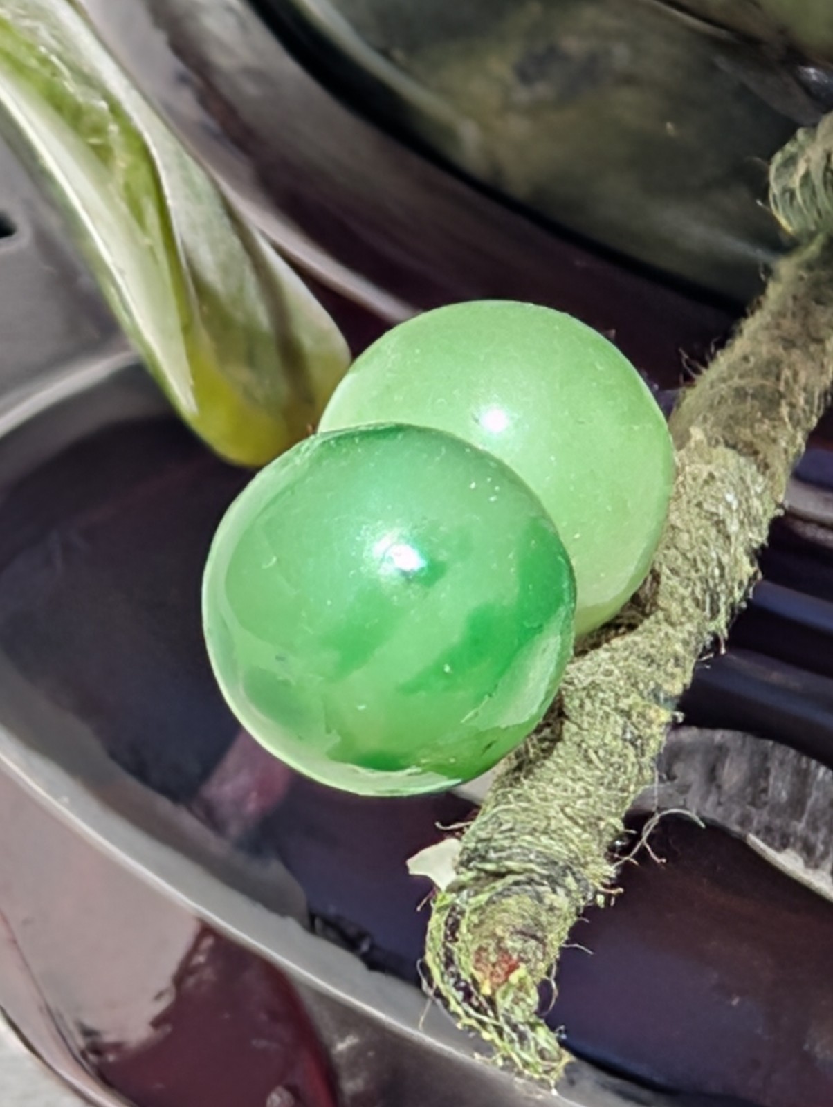 Vtg 1960’s Chinese Export Jade, Jadeite, Agate, Carnelian & Quartz Bonsai Tree