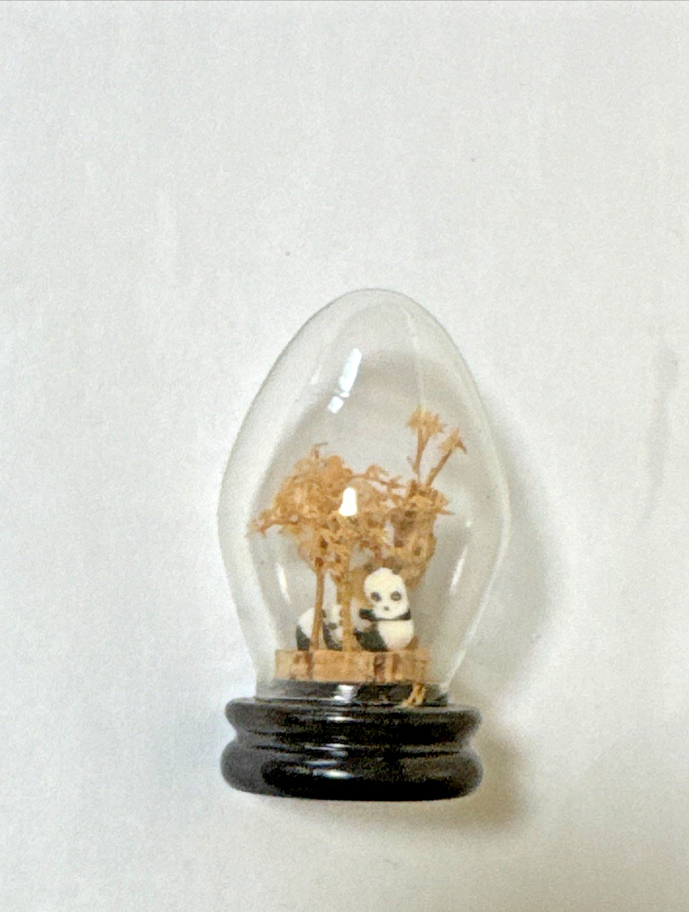 SAN YOU Cork Diorama Pair Of Pandas Under Egg Shape Glass Dome on wood base 3”H