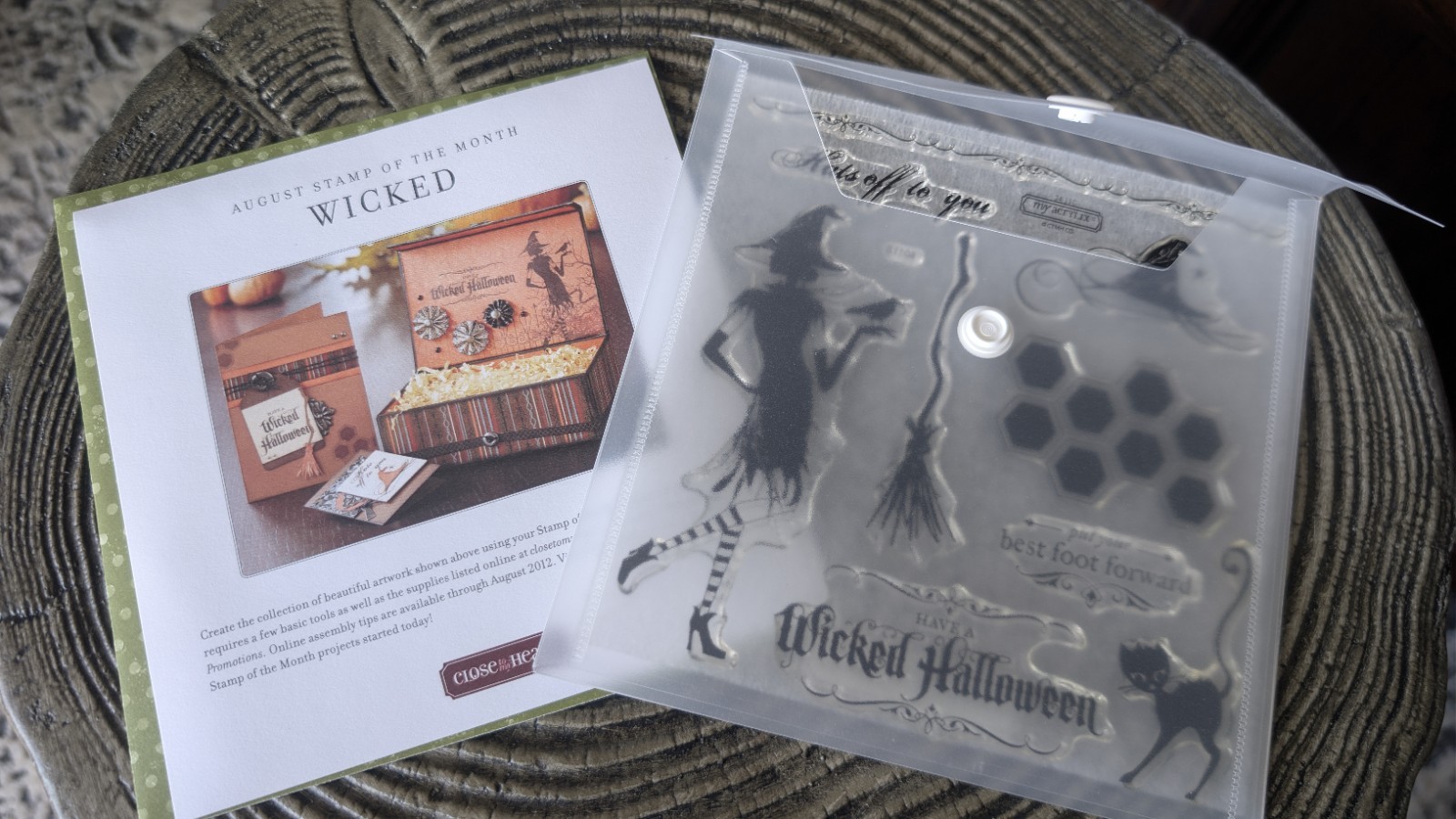 Close to My Heart Halloween Stamp Set Wicked Witch Aug 2011 Stamp of the Month!