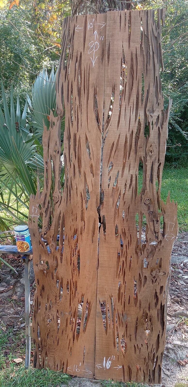 2Pc 17″X80″ Each Bookmatched Louisiana Old Growth THIN Pecky Sinker Cypress Wood