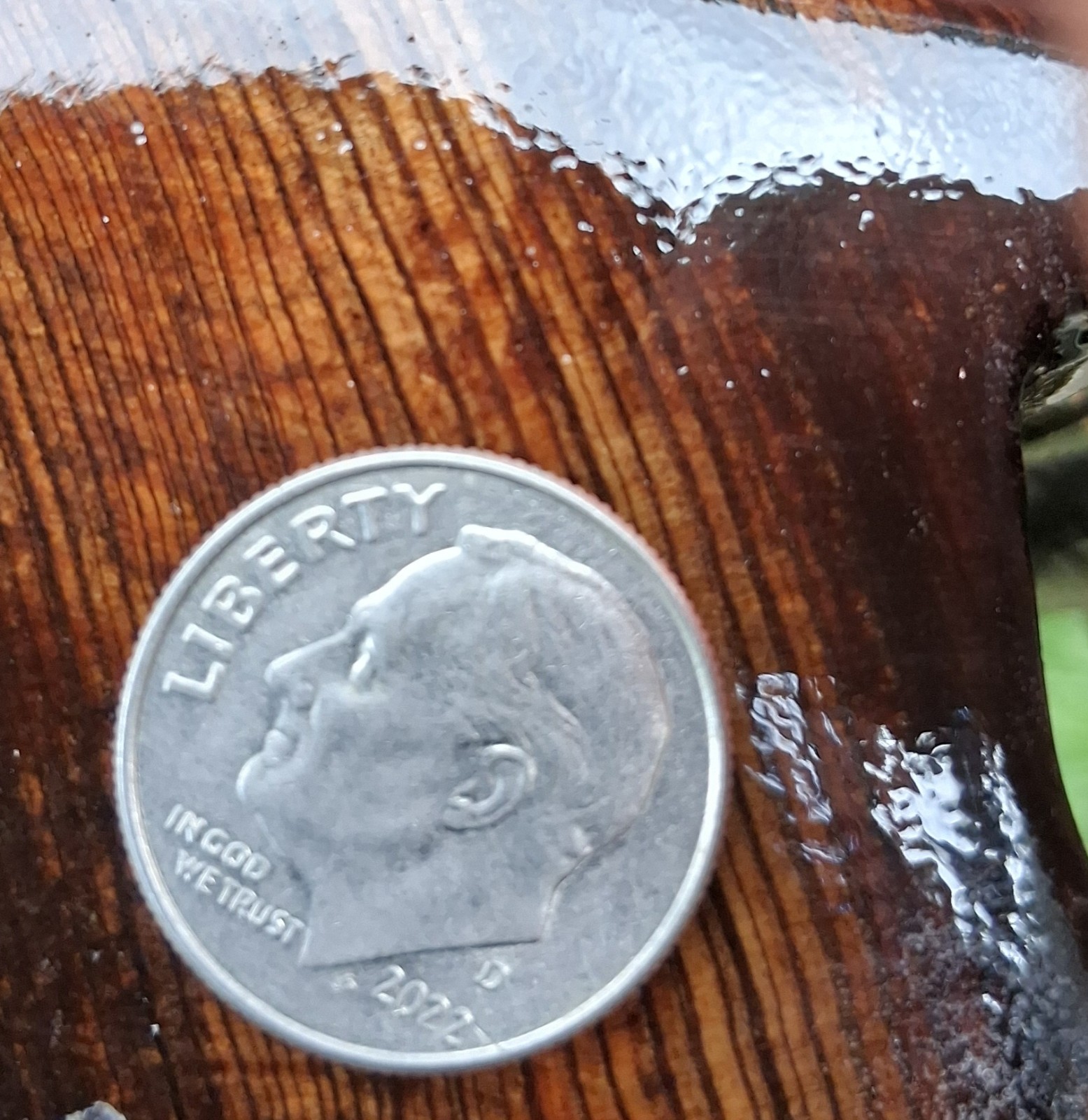 Louisiana Underwater Recovered REAL Old Growth Sinker Cypress Floating Shelf Art