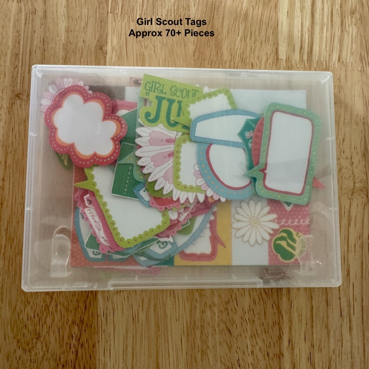 Girl Scout Scrapbooking Tags Ephemera Lot 70+ Pieces Paper/Cardstock w/ Case