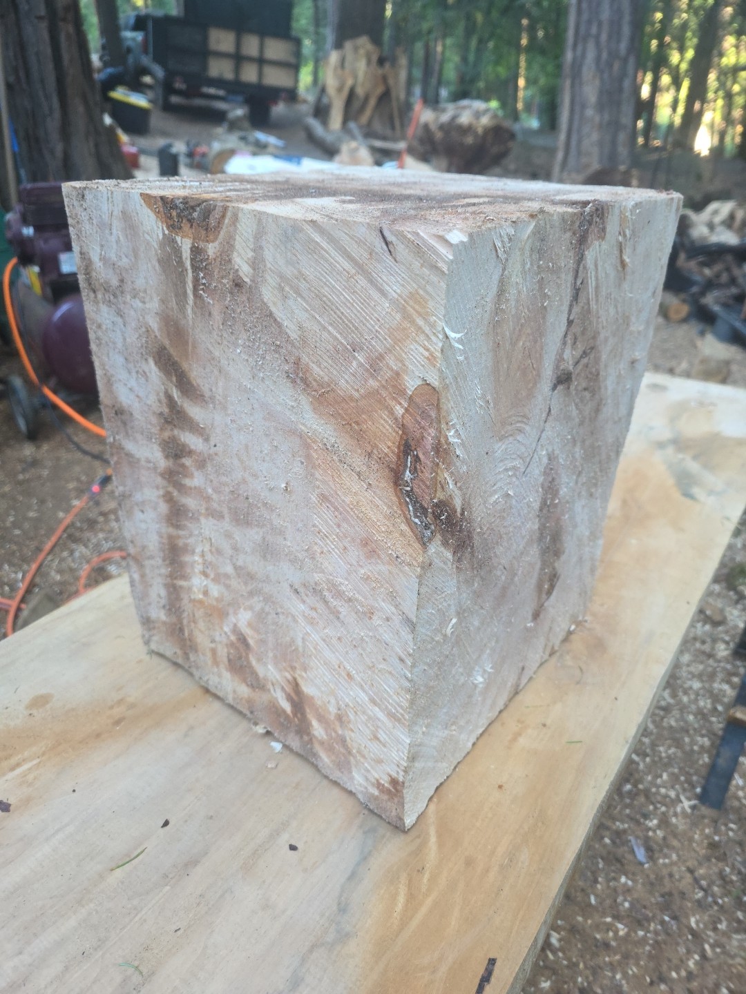 Last One. Birdseye Maple Bowl Blanks Rough 16x12x12 C114-BEM