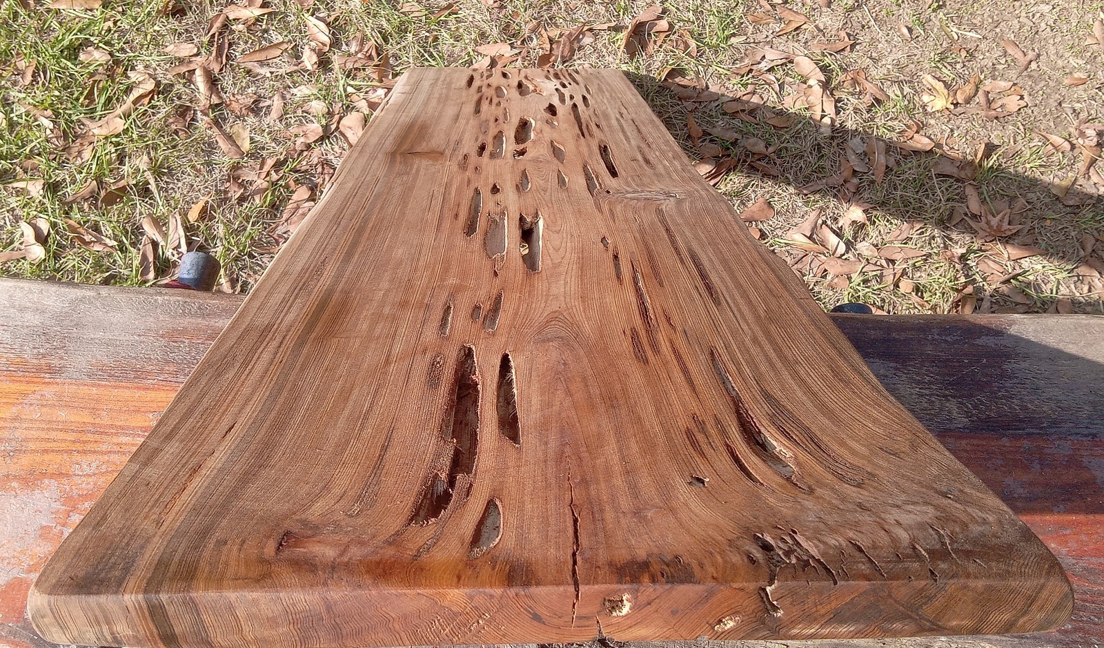 Papa Noël Special 52″ Long Tight Grain Rare Pecky Sinker Cypress Wood QuiteDense